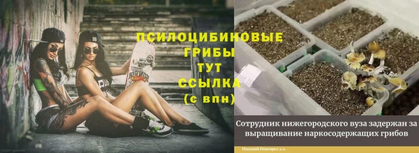jwh Белокуриха