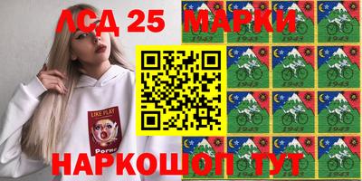 метамфетамин Гатчина
