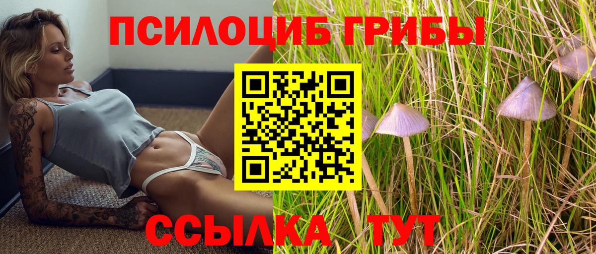 Галлюциногенные грибы GOLDEN TEACHER Гусев