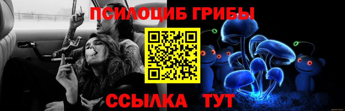 Псилоцибиновые грибы GOLDEN TEACHER  Галлюциногенные грибы прущие грибы  Вход с VPN  Гусев 