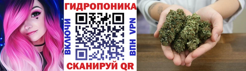 Марихуана SATIVA & INDICA  KRAKEN как войти  Гусев 